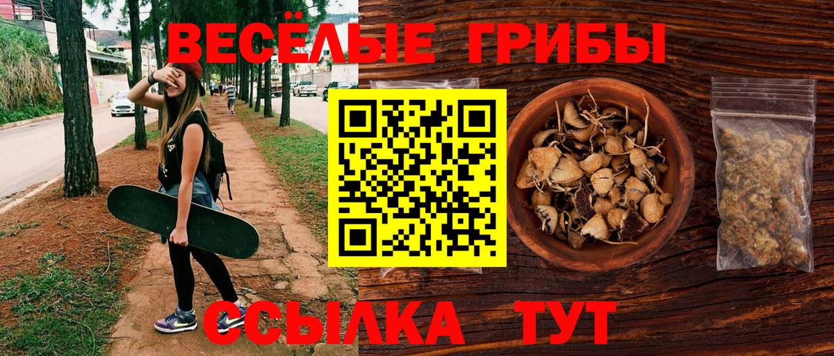 Галлюциногенные грибы прущие грибы Лянтор